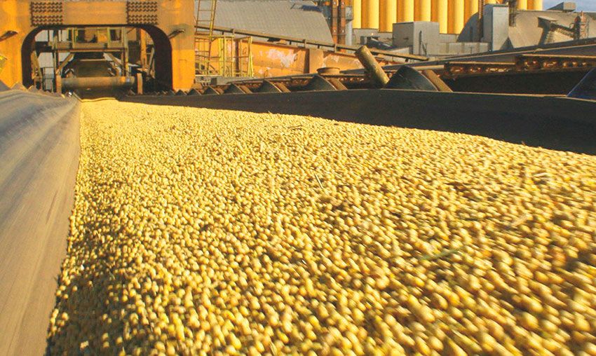 Imagem do serviço: CIP ASPERSÃO LÍQUIDA NA FITA