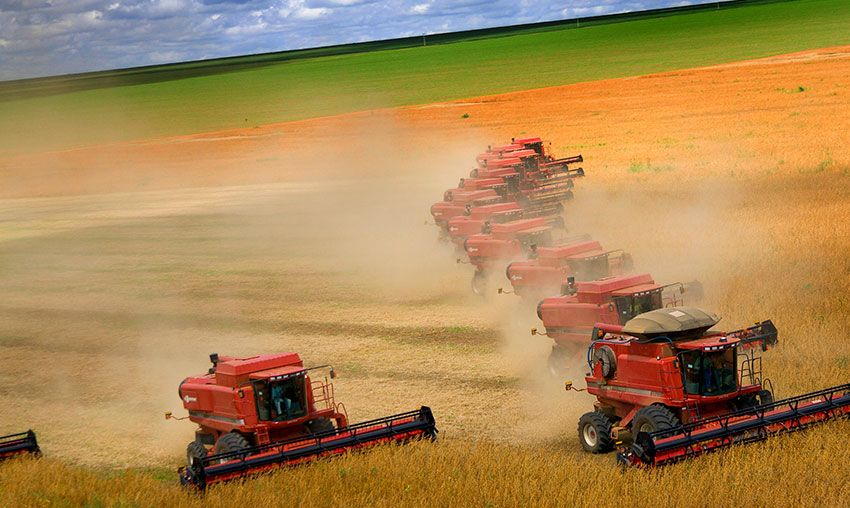 Imagem do serviço: CLASSIFICAÇÃO PORTEIRA ADENTRO (PROPRIEDADE RURAL)